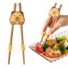 Beginner Chopsticks - Capybara Theme view 1