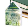 Jvjggag Birdsong Sound Box, White Noise Device with Timer view 1