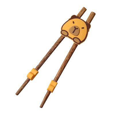 Beginner Chopsticks with Grip Correction for Left and Right Hands