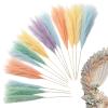 Artificial Pampas Grass Decoration view 1