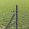 Gray Fence Posts, 10 x 0.4 m, 13 mm Mesh, Steel & PVC view 4