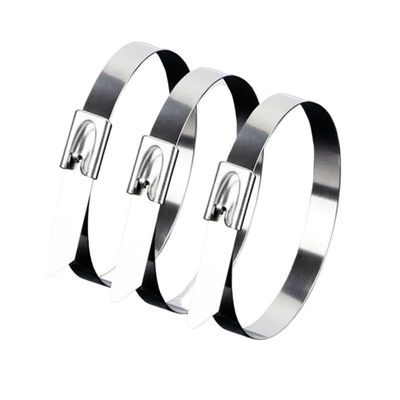 Stainless Steel Metal Cable Ties, 20 Pieces, 7.9 x 300 mm