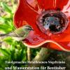 2026 New Bee Waterer for the Garden, 65 cm Metal Flower Garden Stake Bird Bath, Insect Waterer, Garden Decor #B view 3