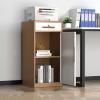 2-Tier Filing Cabinet with Lock, Industrial Rolling Office Cabinet with Door view 1