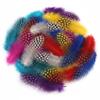 50 Natural Mixed Color Pheasant Feathers for Crafting view 1