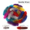 50 Natural Mixed Color Pheasant Feathers for Crafting view 2