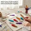 50 Natural Mixed Color Pheasant Feathers for Crafting view 3