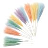 Artificial Pampas Grass | 15 Pieces 55 cm Boho Style Vase Filler view 1