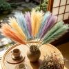 Artificial Pampas Grass | 15 Pieces 55 cm Boho Style Vase Filler view 3
