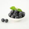NIYANGLE Artificial Blueberries view 3