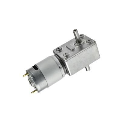 4632 DC Worm Gear Motor with Dual Output Shaft, 12 V, Micro 385 Motor, High Torque, Self-Locking (Double Screw-Hole Shaft)