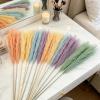 Generic Pampas Grass Decoration | 15 pcs Realistic Boho Table Decor view 3
