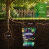 5 x 500 g Organic Soil Improver with Biochar – Wundergarten for Gardens, Raised Beds & Plants view 2