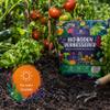 5 x 500 g Organic Soil Improver with Biochar – Wundergarten for Gardens, Raised Beds & Plants view 3