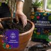 5 x 500 g Organic Soil Improver with Biochar – Wundergarten for Gardens, Raised Beds & Plants view 4