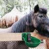 minkissy Automatic Plastic Livestock Water Bowl with Splash Guard for Cattle and Horses view 4