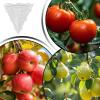 Zuasdvnk Vegetable Growth Molds view 4