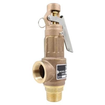 S10/S10L Safety Valve, DN40/DN50, 1.2 in, All-Copper Thread, Handle, for Steam, 1 bar (DN40, S10L)
