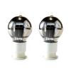 NVSFZGIYG 2 Gain Pair 6SN7 Vacuum Tubes view 1