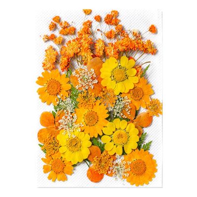 Pressed Flower Stickers - 35PCS Aesthetic Plant Set