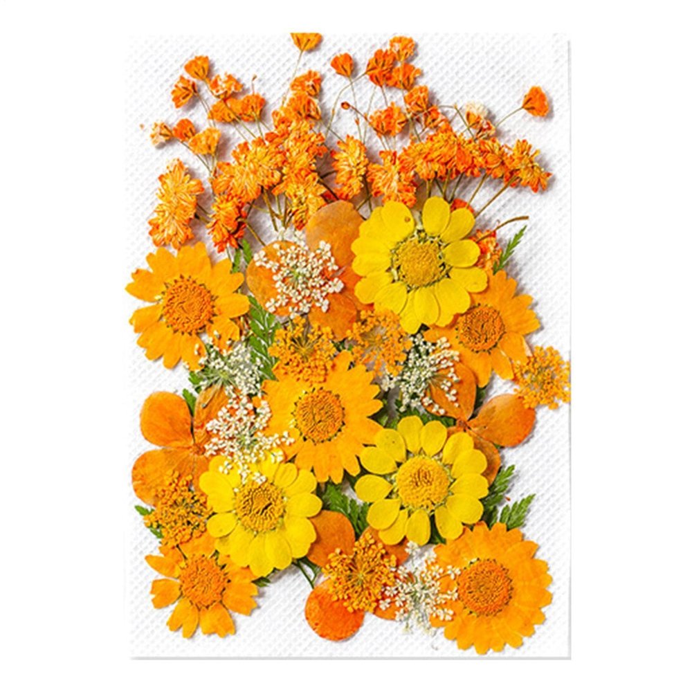 Pressed Flower Stickers - 35PCS Aesthetic Plant Set