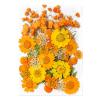 Pressed Flower Stickers - 35PCS Aesthetic Plant Set view 1