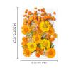 Pressed Flower Stickers - 35PCS Aesthetic Plant Set view 2