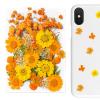 Pressed Flower Stickers - 35PCS Aesthetic Plant Set view 3