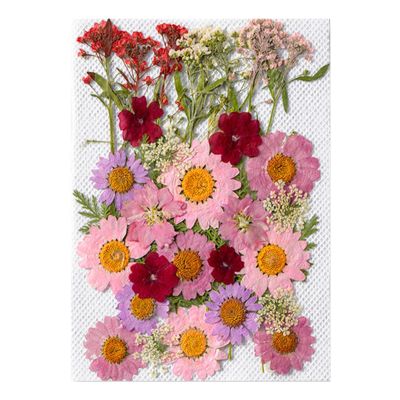 Pressed Flower Stickers - 35PCS Aesthetic Plant Set