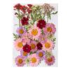 Pressed Flower Stickers - 35PCS Aesthetic Plant Set view 1