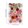 Pressed Flower Stickers - 35PCS Aesthetic Plant Set view 2