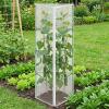 Breathable Bird Protection Net for Tomato Cages view 3