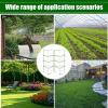 Breathable Bird Protection Net for Tomato Cages view 4