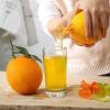 Manual Citrus Juicer view 3