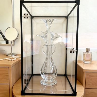 Vibeo Acrylic Display Case, Lockable Acrylic Box with Hinges and Aluminum Frame, Fully Transparent, Dustproof, 30 x 30 x 50 cm