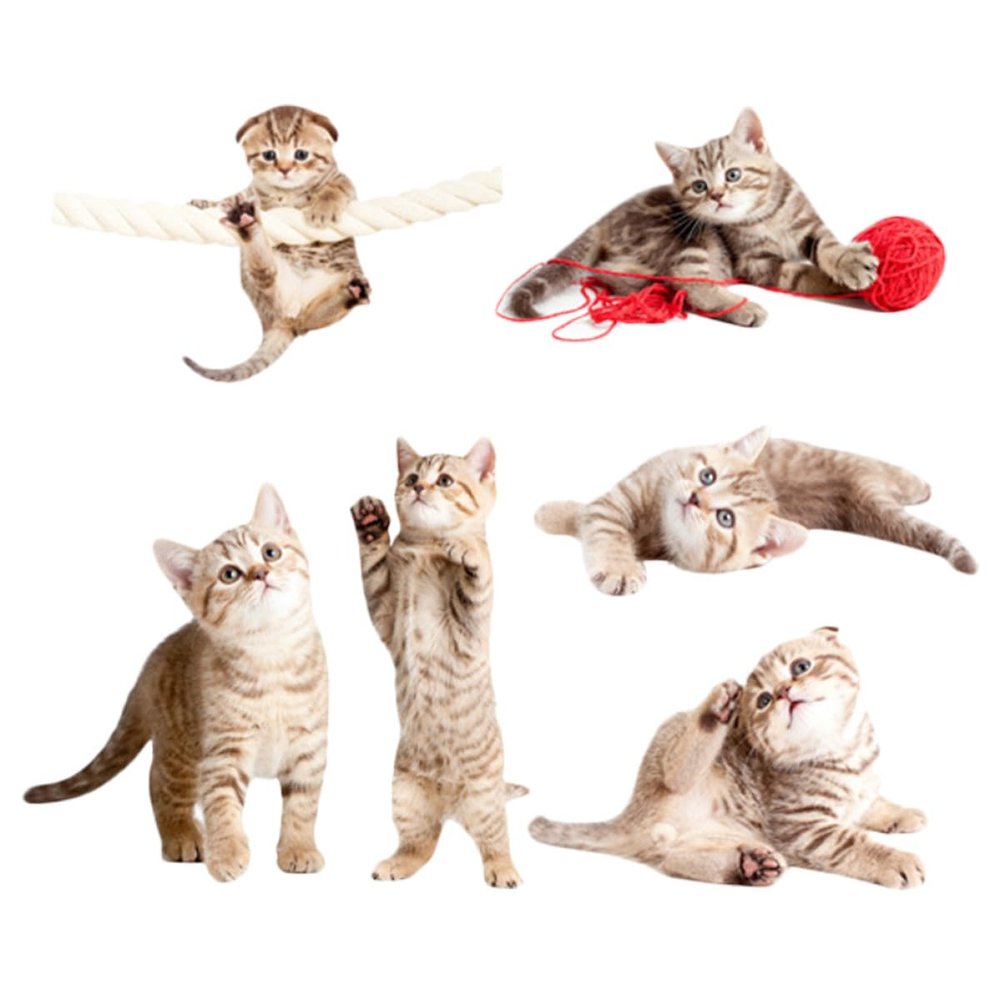 MAGICLULU Static Cling Window Stickers for Bird Protection