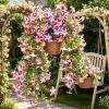 Artificial Morning Glory - UV-Resistant Silk Wall Decoration view 3