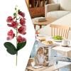 Artificial Spring Flowers - Phalaenopsis Orchid view 4