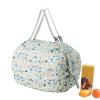 Generic Everyday Bag - Foldable Organizer view 1