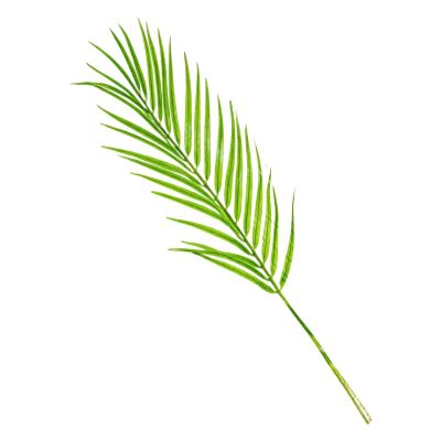 Artificial Palm Leaves | Tropical Greenery Decor