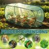 Small Pop-Up Tomato Greenhouse, UV-Resistant, Green, 120 x 45 x 45 cm view 3