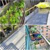 304 Stainless Steel Perforated Sheet, Durable Metal Panel for Home, Garden Fences, Ventilation and Protection, Easy to Cut (35 x 250 cm) view 4