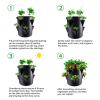 Frhwye Strawberry Planting Tower with 6 Side Pockets view 3