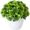 Sawhamale Artificial Green Potted Plant Decoration view 1