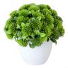 Sawhamale Artificial Green Potted Plant Decoration view 3