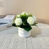 Sawhamale Artificial Silk Carnation Arrangement view 2