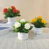 Sawhamale Artificial Silk Carnation Arrangement view 4
