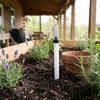 UTHCLO 8-Pack White Smart Water Level Indicators for Plants view 4