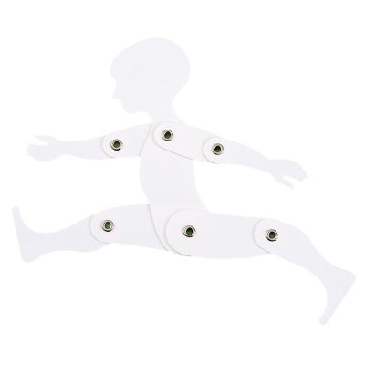 Anatomical Drawing Figure Model