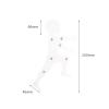 Anatomical Drawing Figure Model view 3